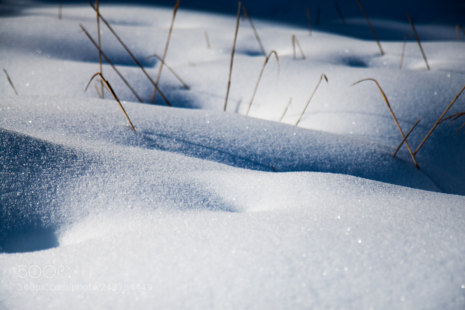 Canon EOS 30D sample photo. White photography