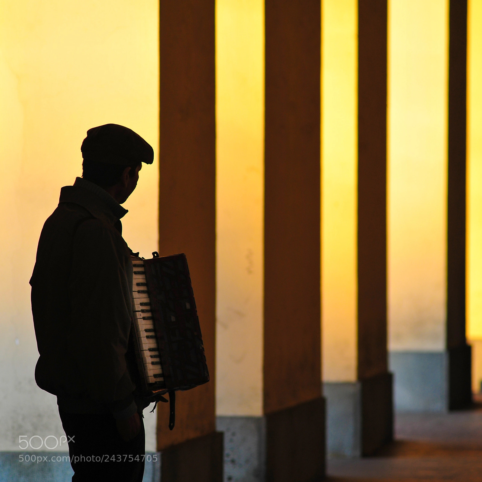Nikon D700 sample photo. The accordion player photography