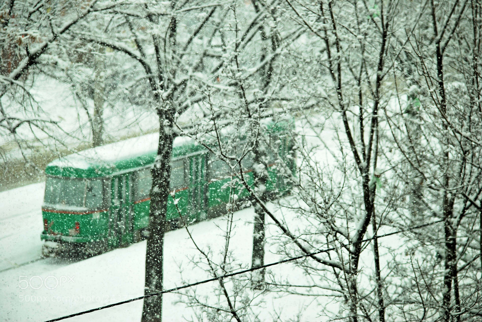 Nikon D60 sample photo. Green tram photography
