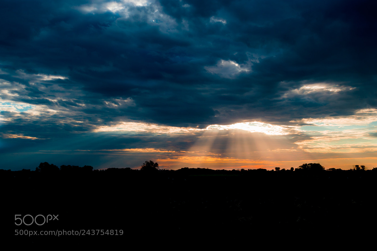 Nikon D3200 sample photo. De campo, cielos y photography