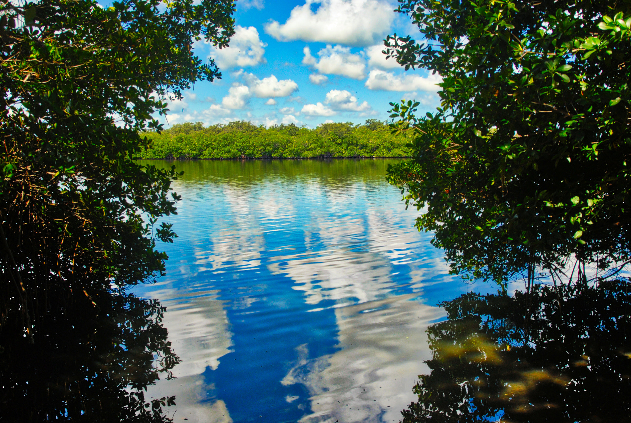 Nikon D200 + Sigma 24-60mm F2.8 EX DG sample photo. Across river photography