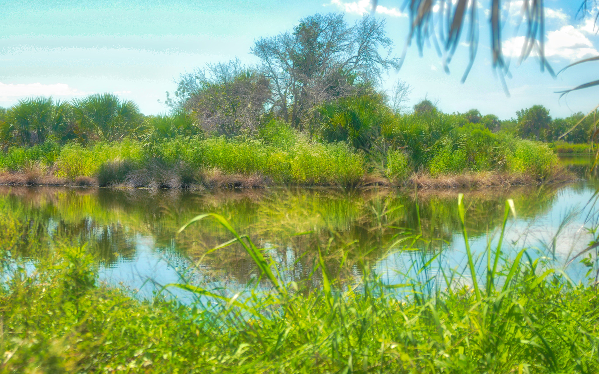 Nikon D200 sample photo. Pelican island, fl photography