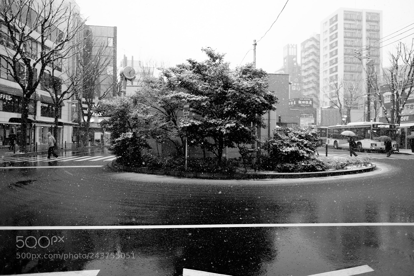 Fujifilm X-T1 sample photo. Mono photography