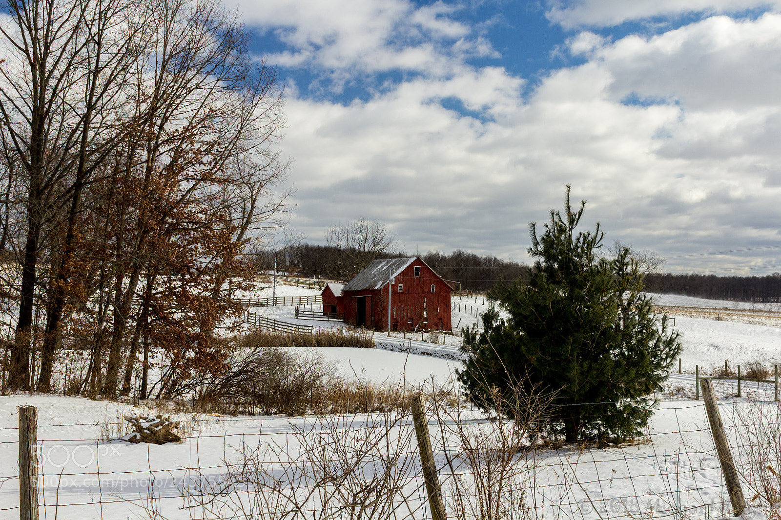 Canon EOS 1200D (EOS Rebel T5 / EOS Kiss X70 / EOS Hi) sample photo. Knox county winter photography