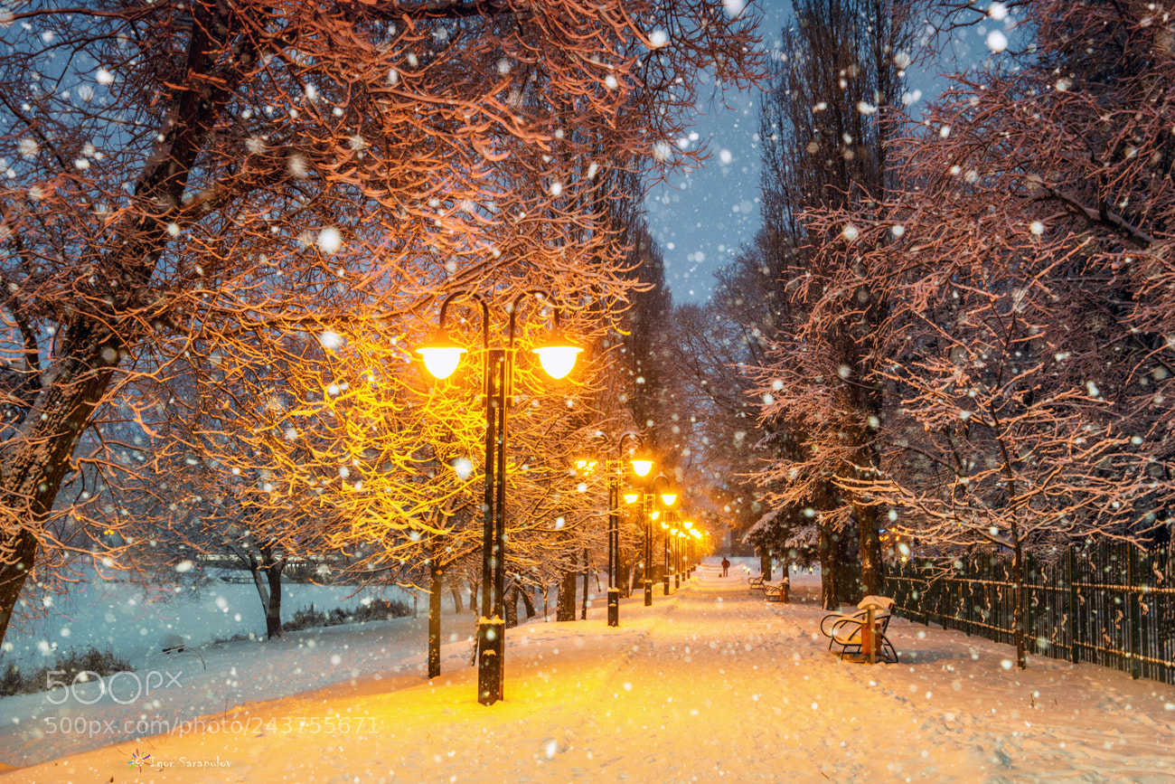 Canon EOS 60D sample photo. Snowy morning photography
