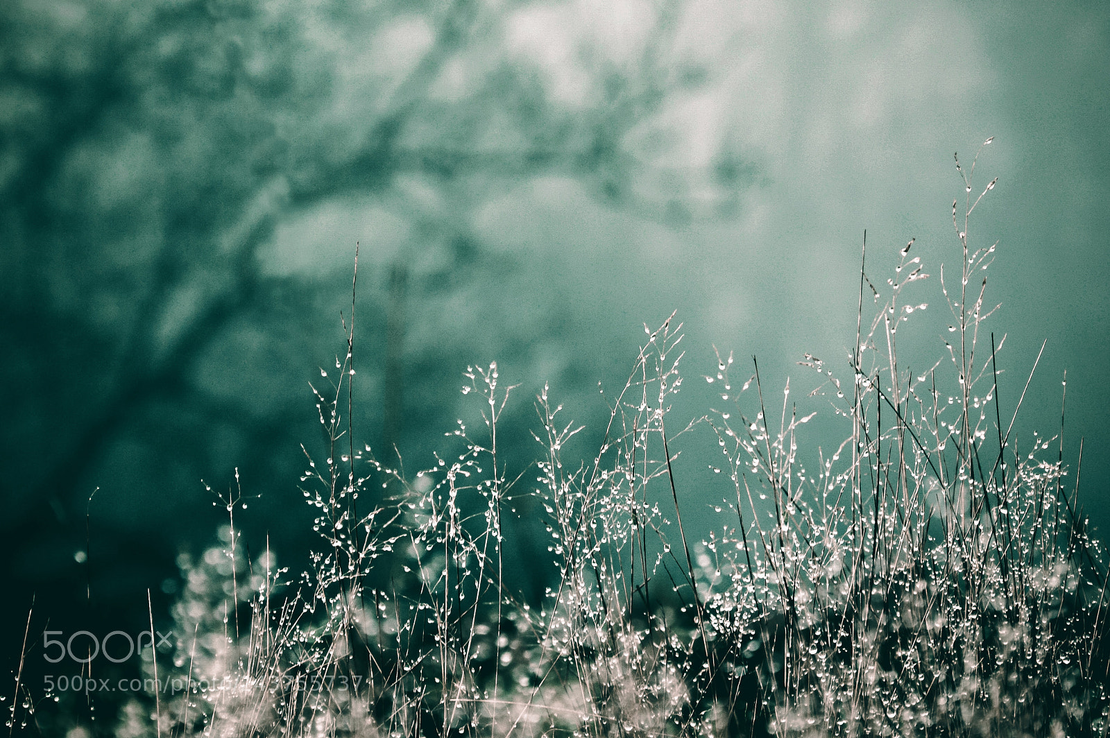 Nikon D3200 sample photo. Cold winters day photography