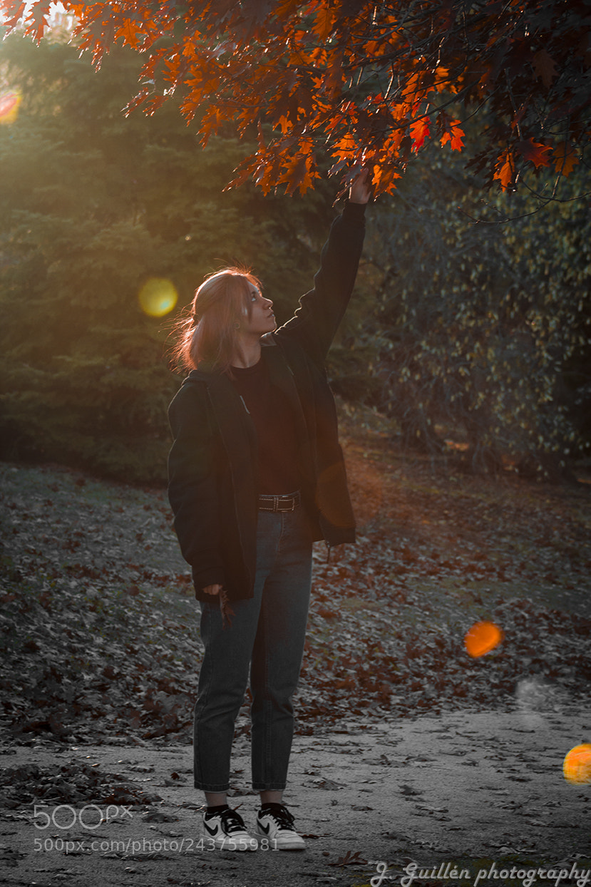 Canon EOS 550D (EOS Rebel T2i / EOS Kiss X4) sample photo. Autumn photography