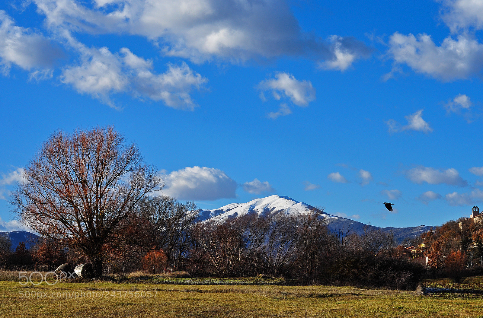 Nikon D90 sample photo. December photography