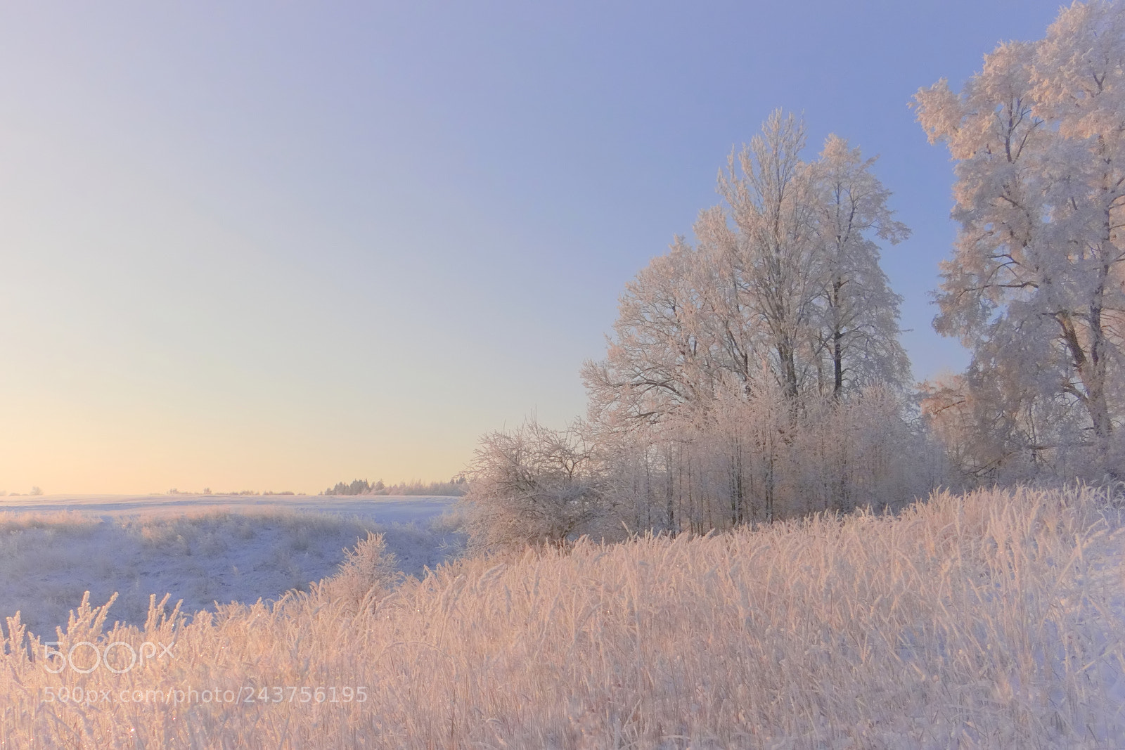 Sony DSC-HX200V sample photo. Cold morning photography