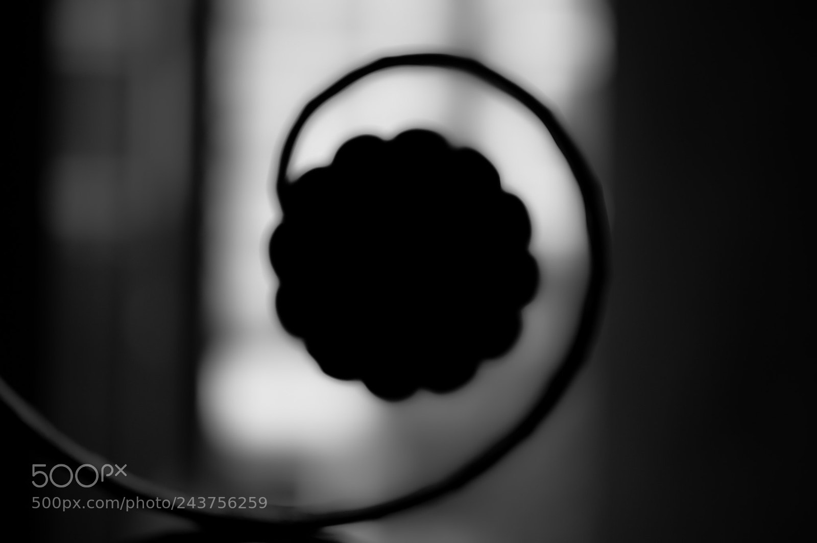 Nikon D5000 sample photo. Inspiration photography