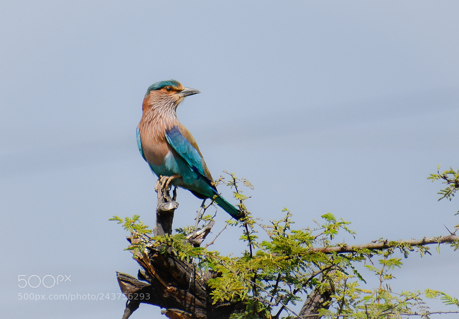 Nikon D3400 sample photo. Colour of nature.!!! photography