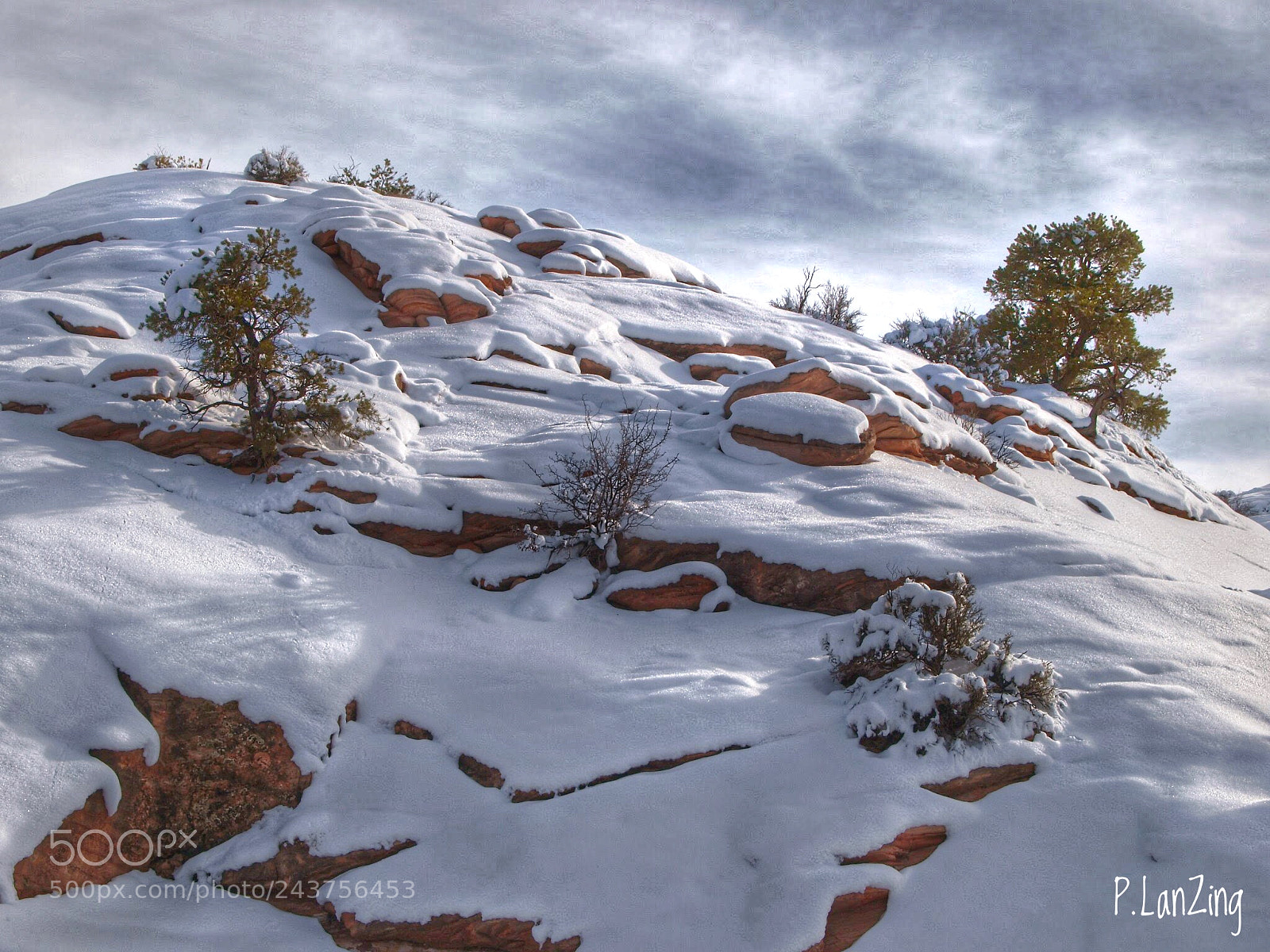 Olympus E-3 sample photo. New snow on red photography