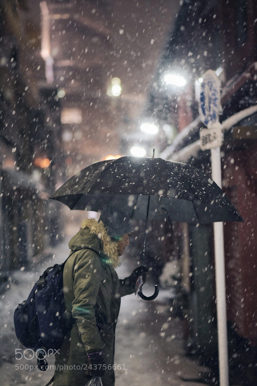 Nikon D750 sample photo. Snowy tokyo photography