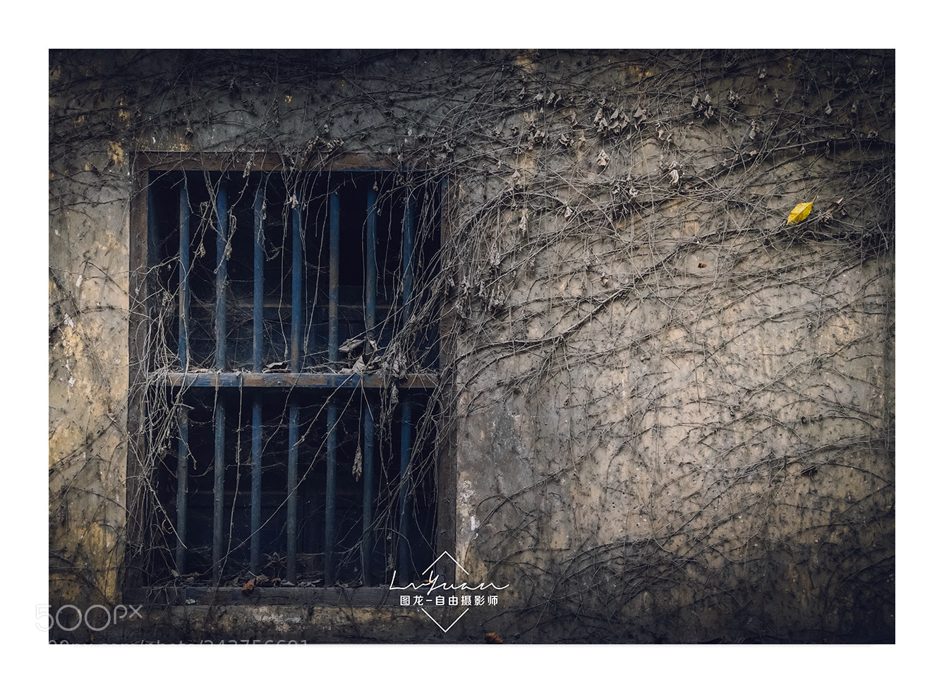 Sony a7 II sample photo. Untitled photography