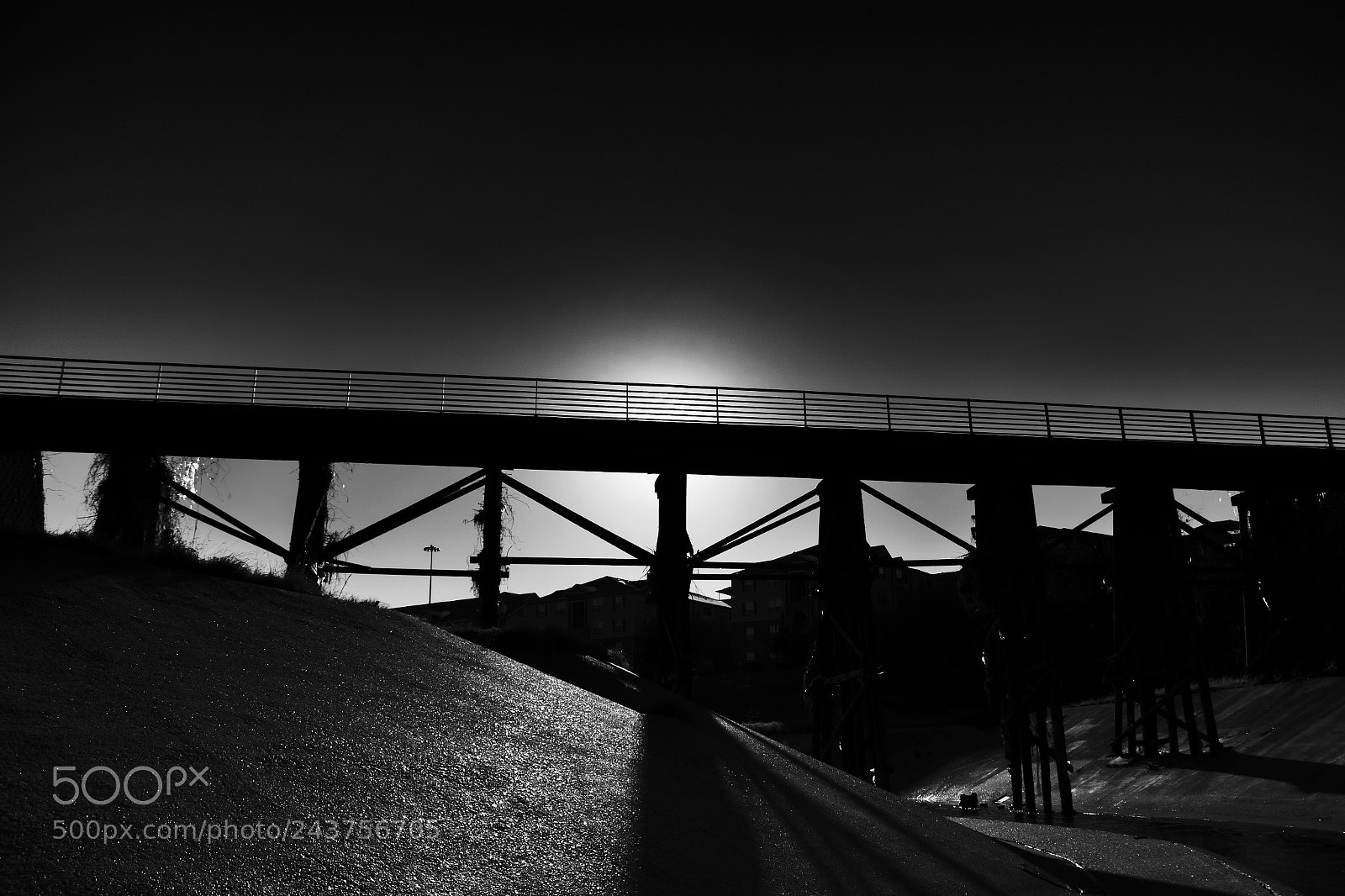 Canon EOS 7D Mark II sample photo. We all have bridges photography