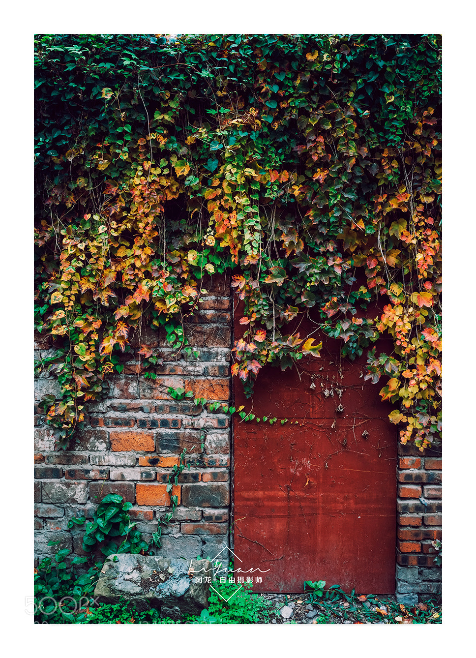 Sony a7 II sample photo. Untitled photography