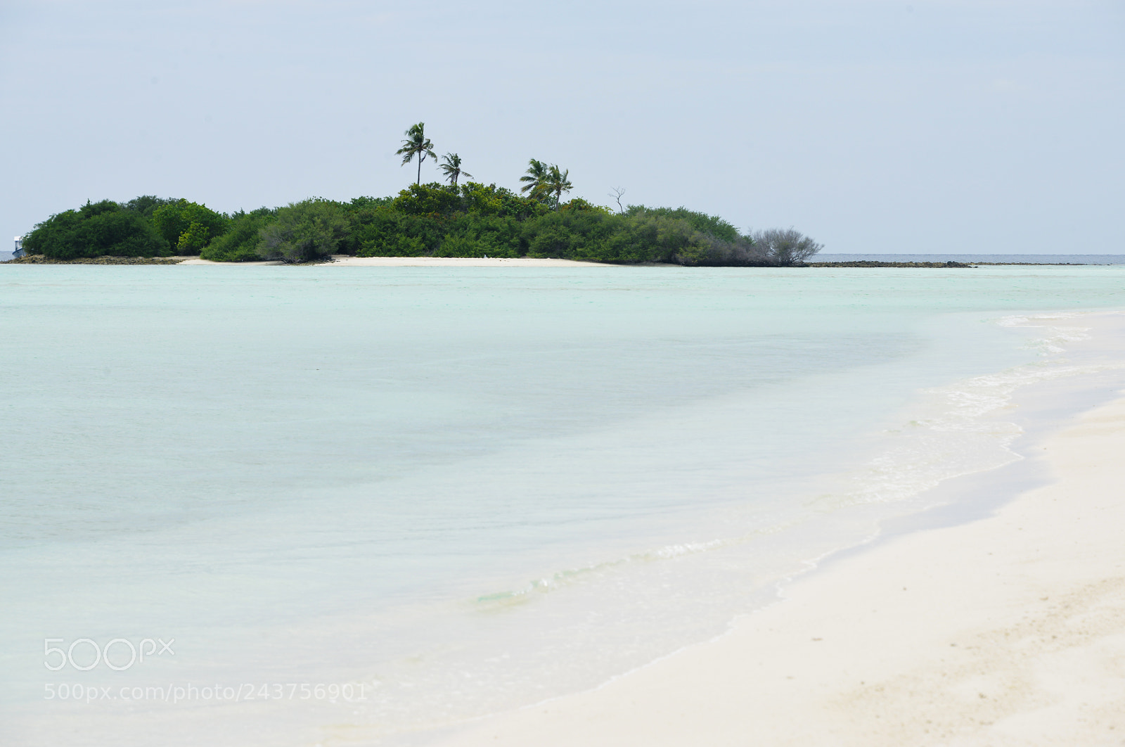Nikon D800 sample photo. Picnic island - maldives photography