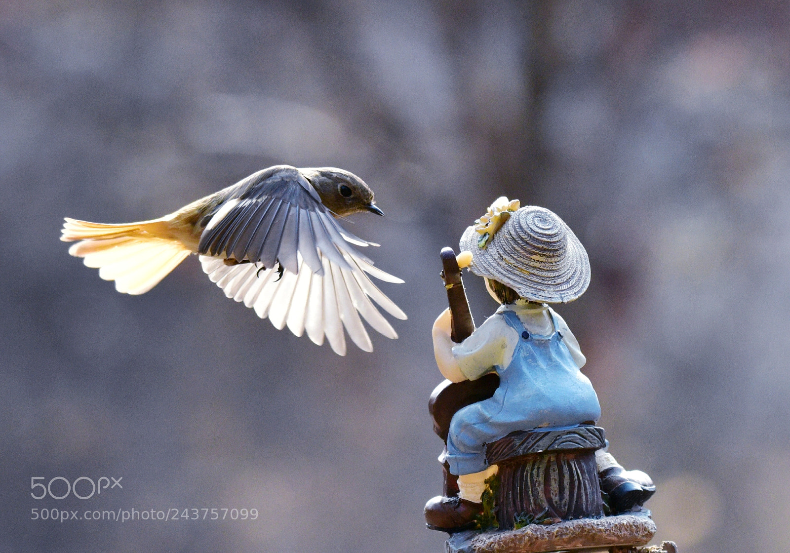 Nikon D810 sample photo. Untitled photography