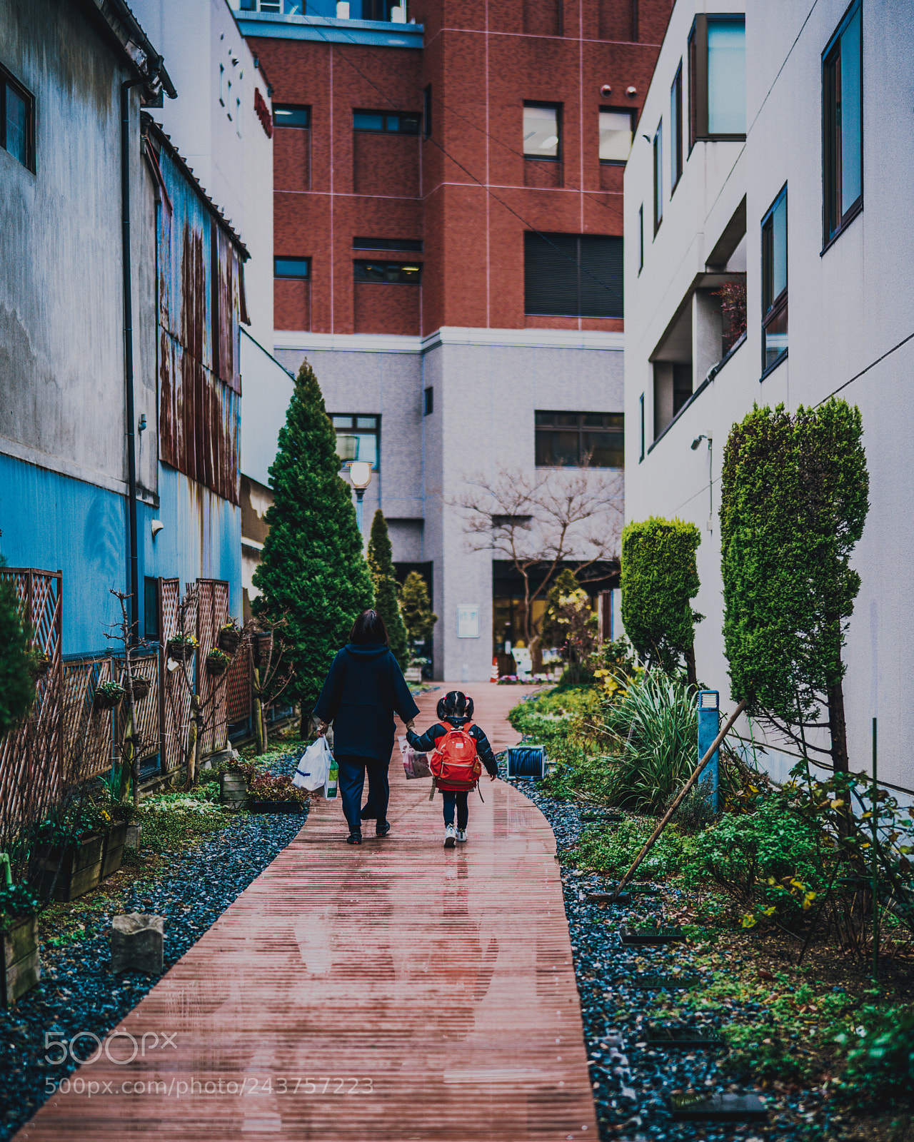 Sony a7R III sample photo. A hand is connected photography
