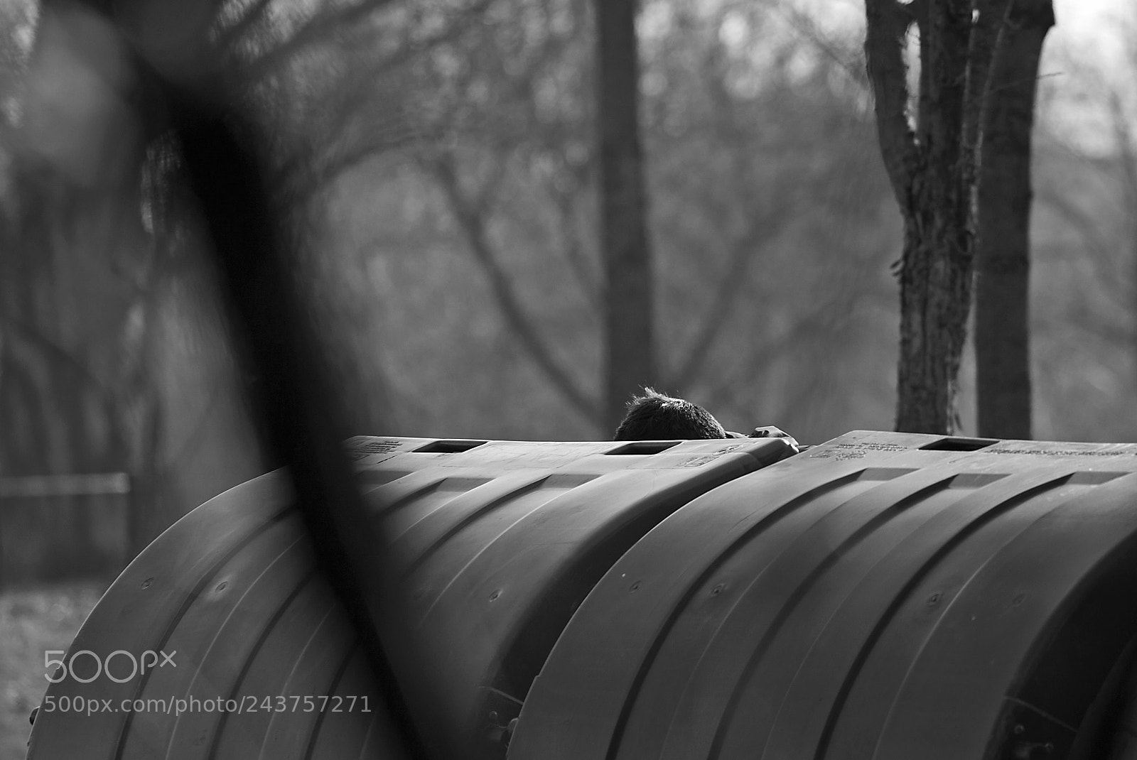 Canon EOS 40D sample photo. (trash) photography