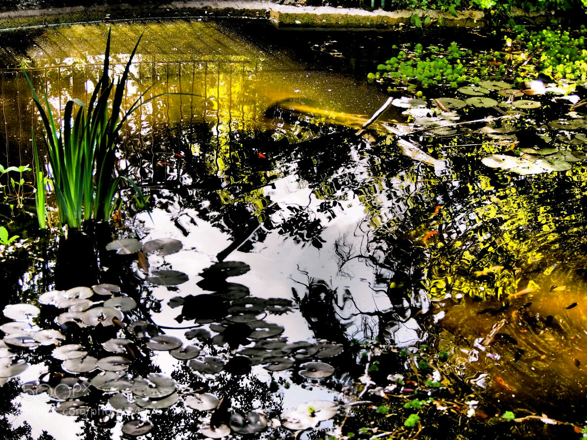 Olympus OM-D E-M5 sample photo. Profondeurs photography