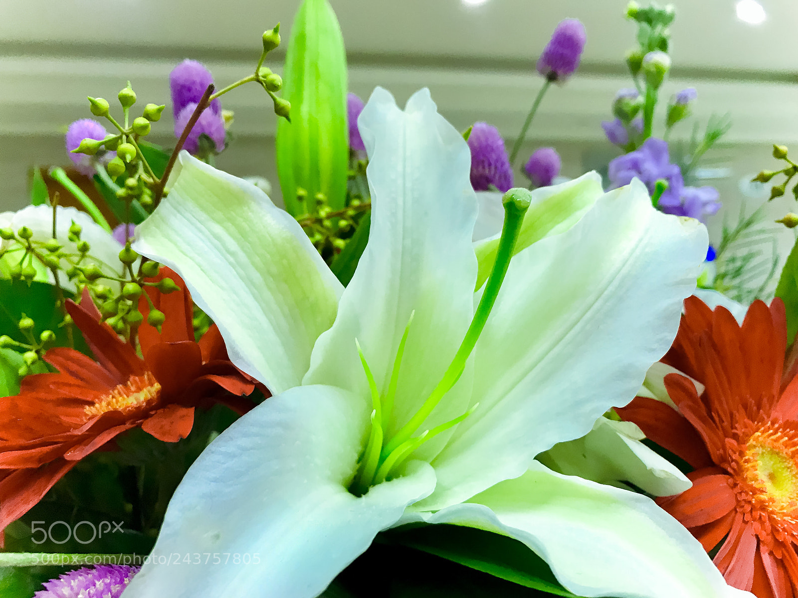 Apple iPhone 7 sample photo. Fall flower cooking wine(落花煮酒) photography