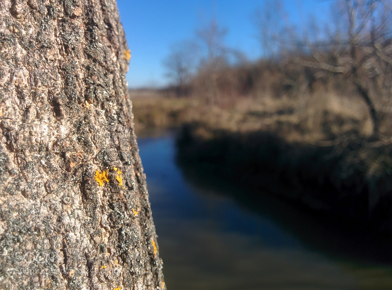 LG Nexus 5 sample photo. Nature's beauty photography