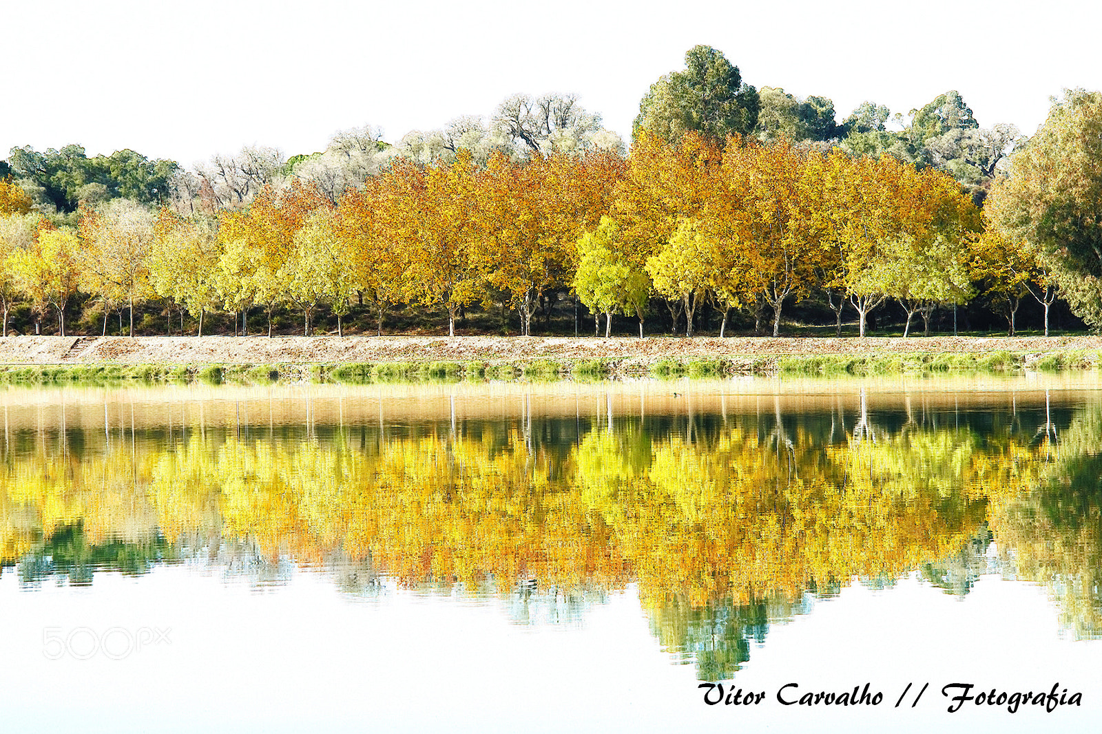 Nikon D800 sample photo. Barragem alpiarça photography