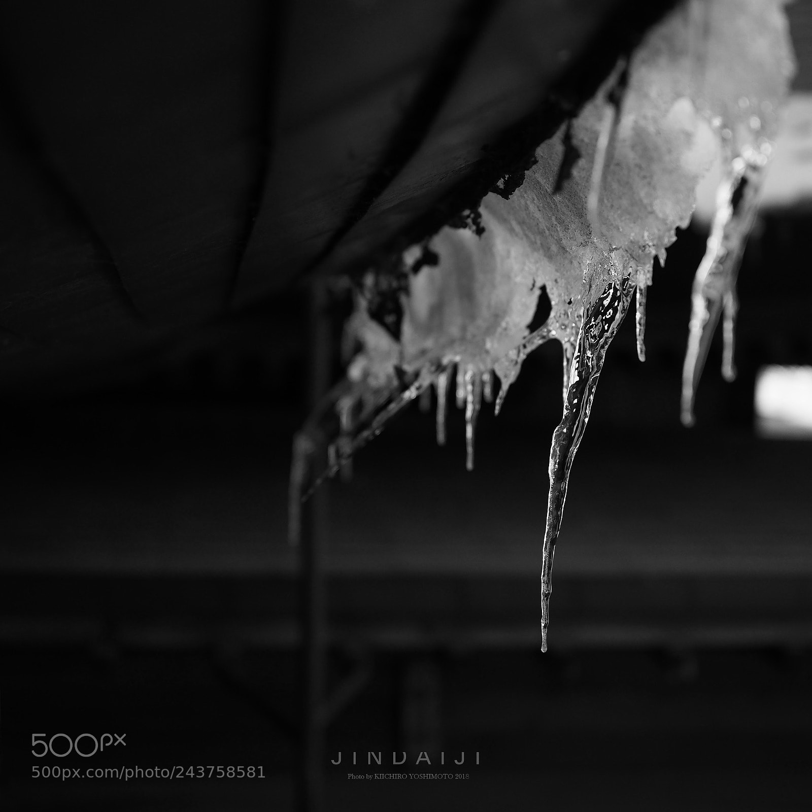 Olympus OM-D E-M1 Mark II sample photo. Icicles photography