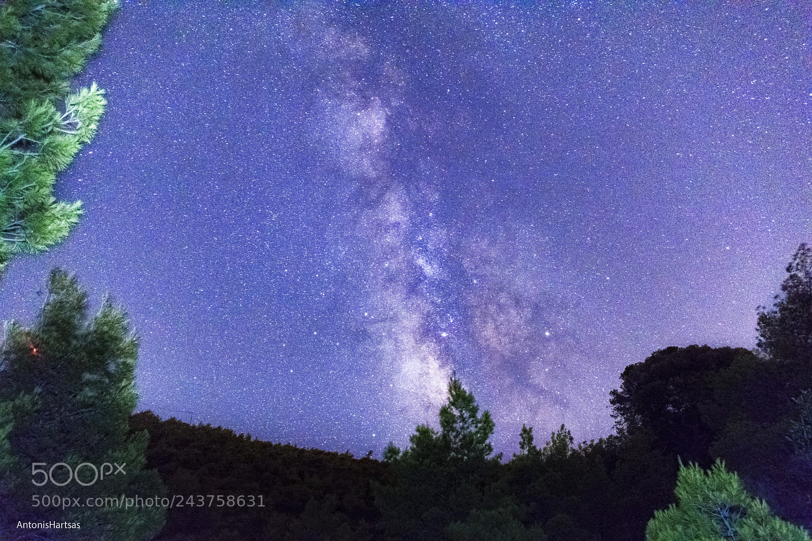 Nikon D3400 sample photo. Milkyway photography