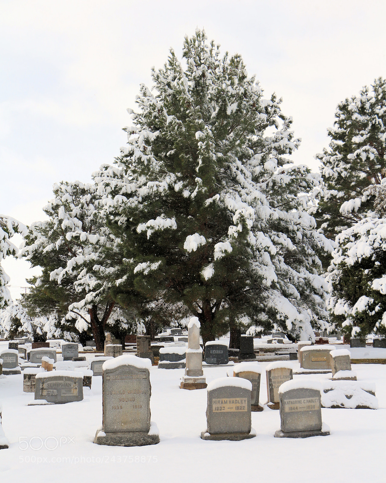 Canon EOS 700D (EOS Rebel T5i / EOS Kiss X7i) sample photo. Eternal snow photography