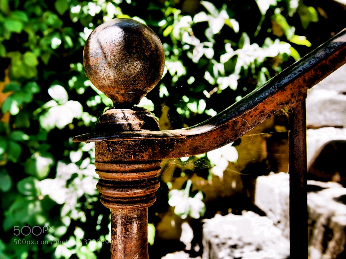 Olympus OM-D E-M5 sample photo. En bas de l'escalier photography
