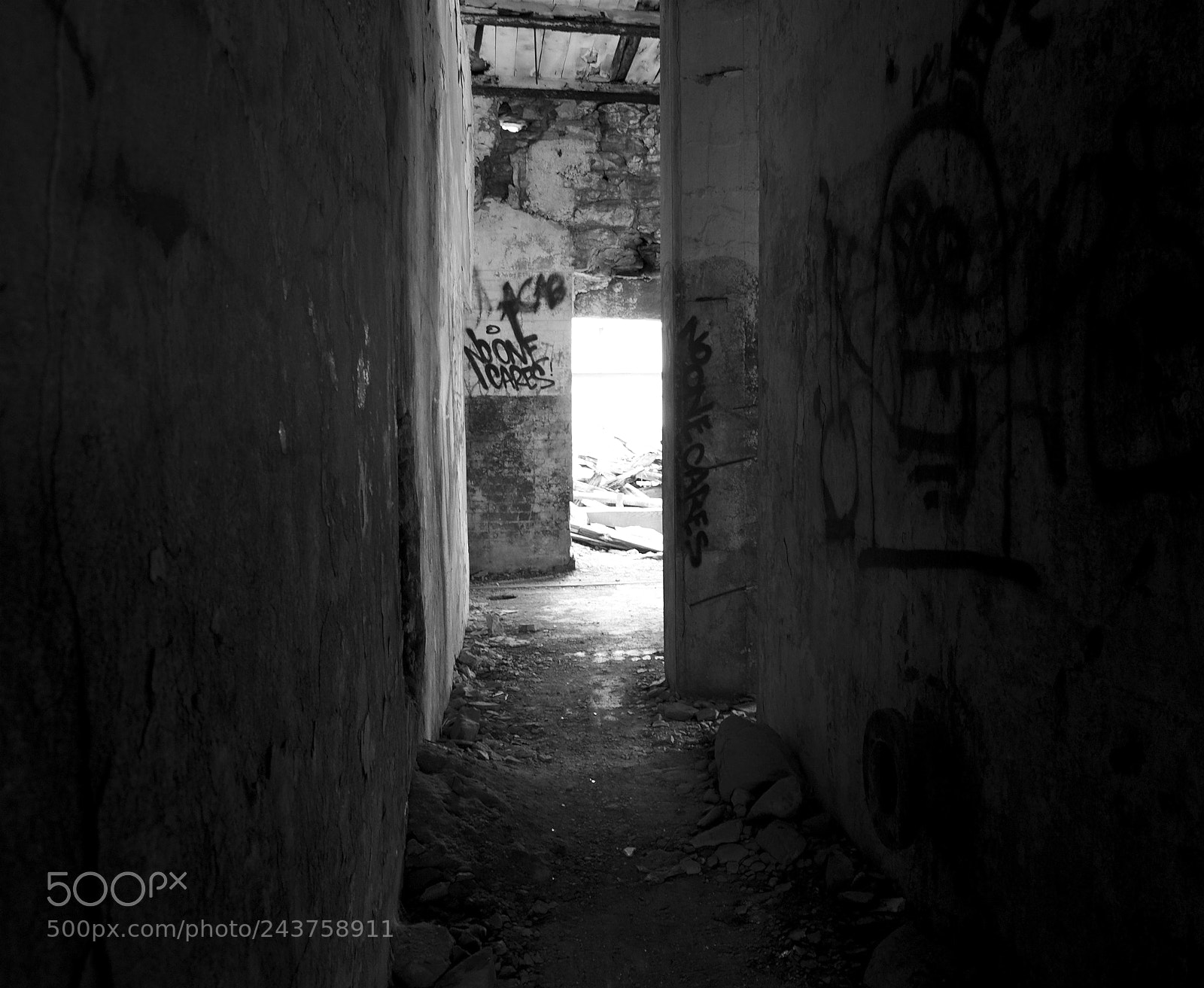 Nikon D90 sample photo. Untitled photography