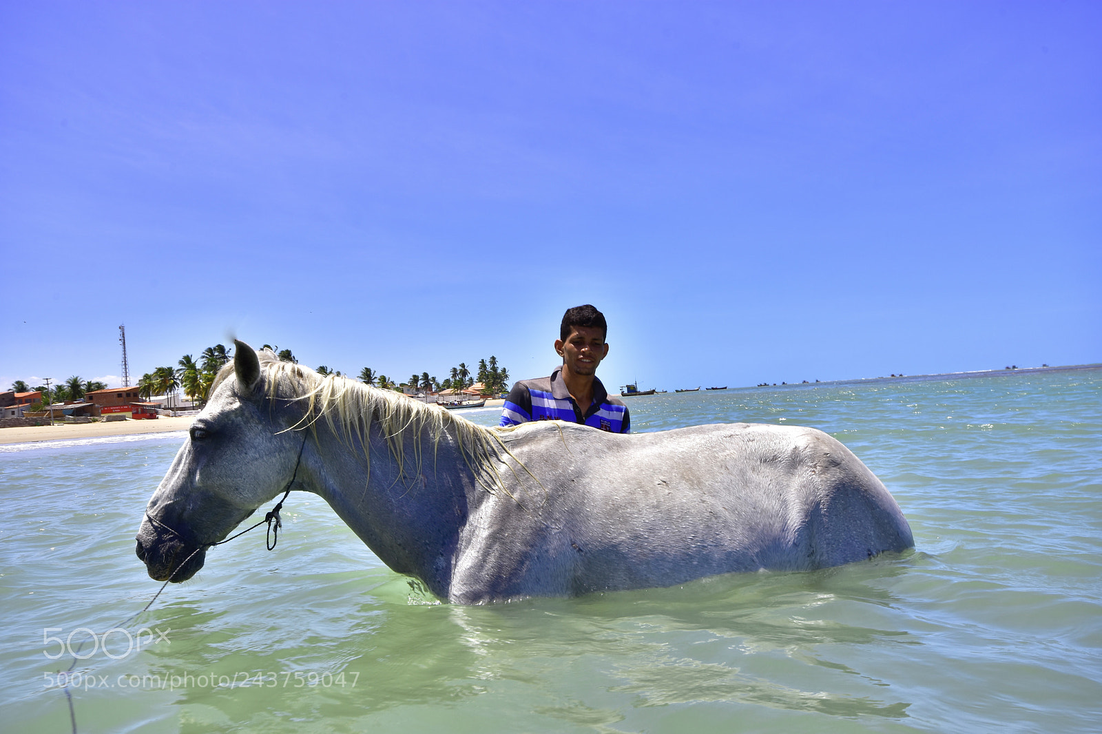 Nikon D7200 sample photo. Untitled photography