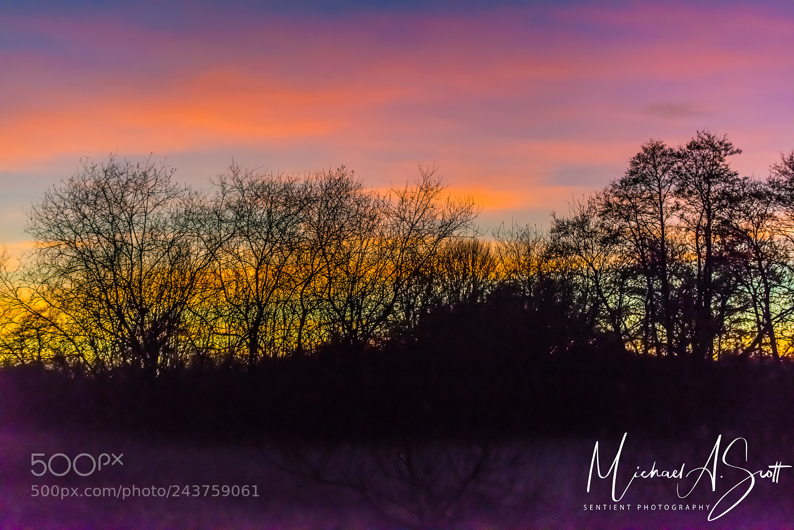 Nikon D800 sample photo. Mist rising sunset photography