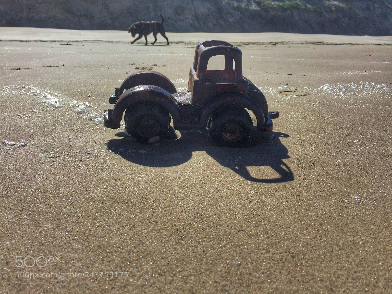Apple iPhone 6 sample photo. Big dog, small truck? photography