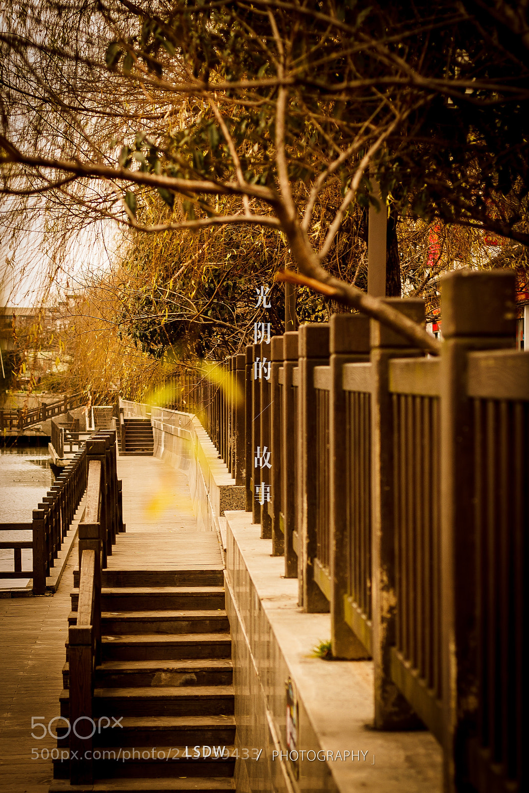 Canon EOS 60D sample photo. Untitled photography