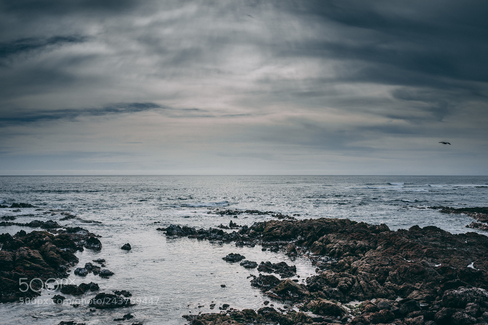 Sony a7R sample photo. Wonder photography