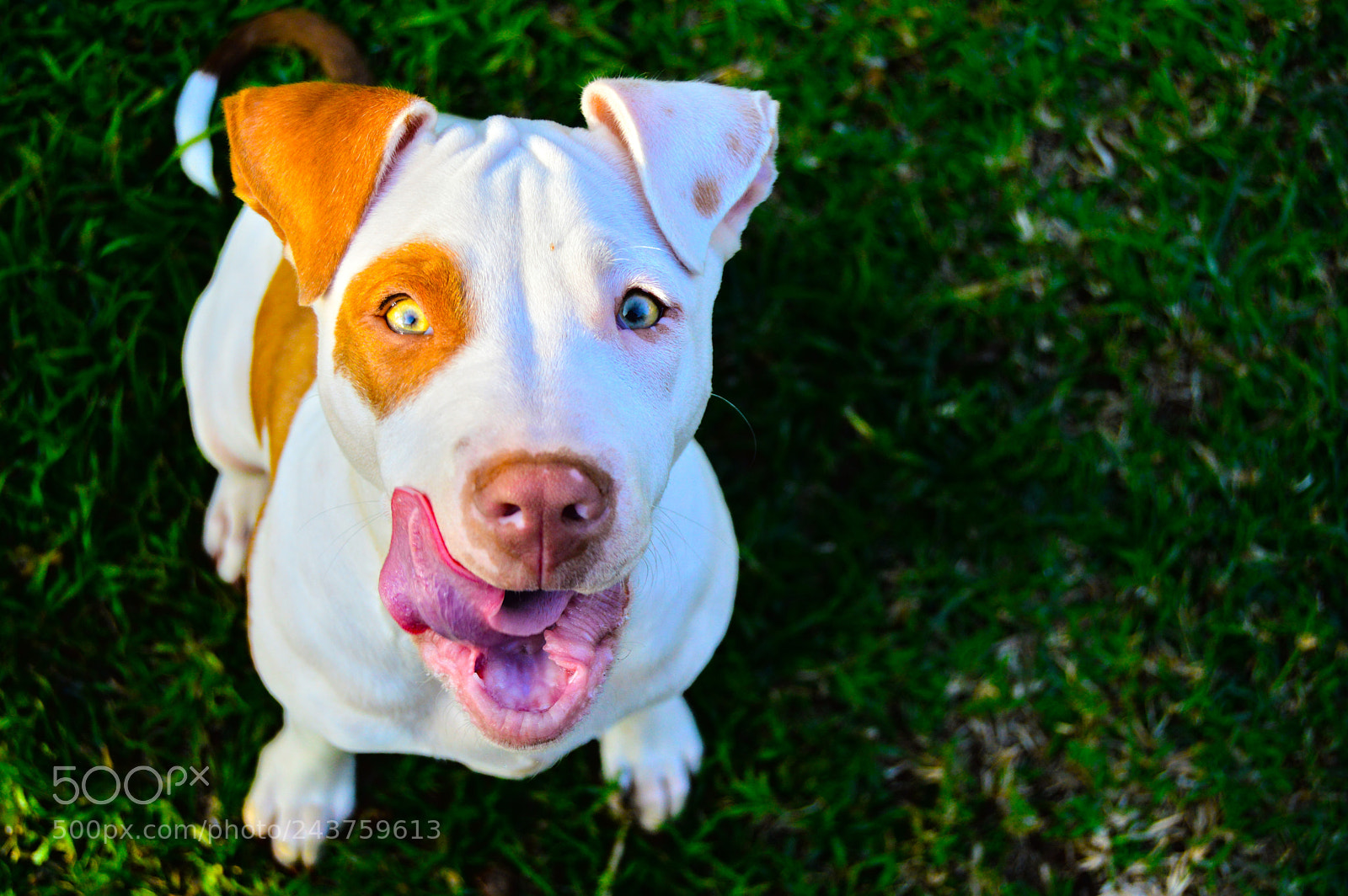 Nikon D3200 sample photo. Explosive photography photography
