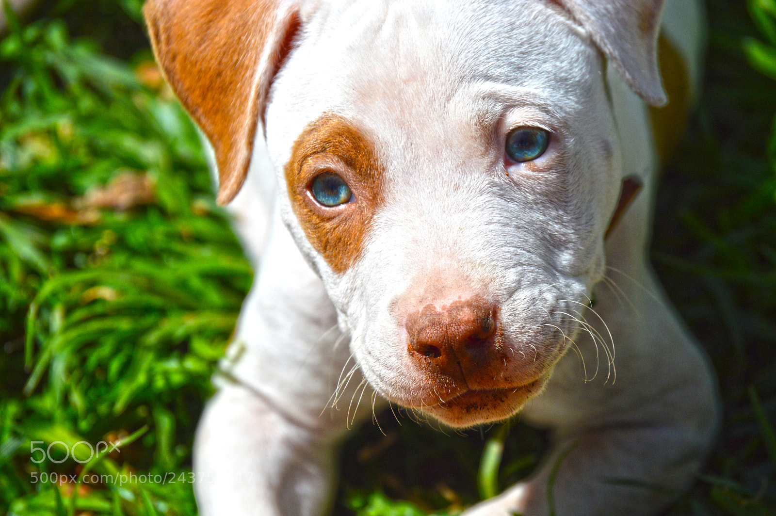 Nikon D3200 sample photo. Explosive photography photography