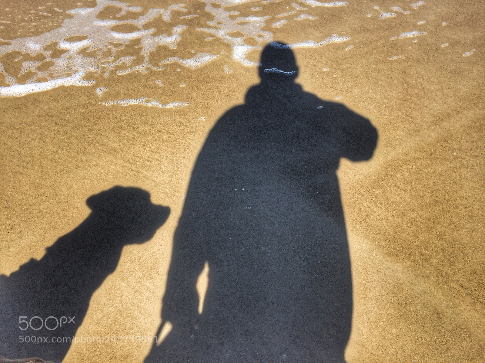 Apple iPhone 6 sample photo. Shadow of life at photography