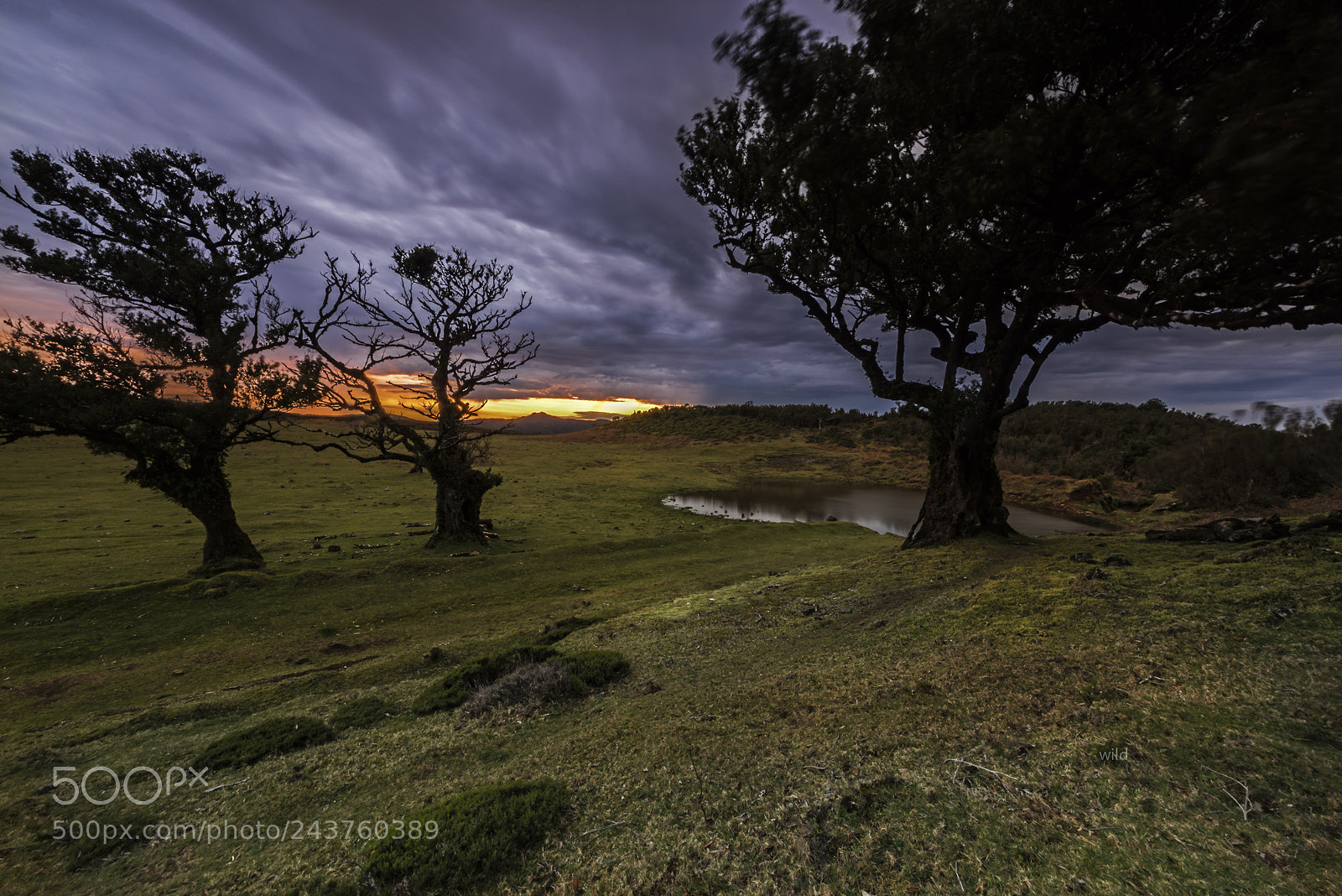 Nikon D610 sample photo. Sunset in the mountains photography