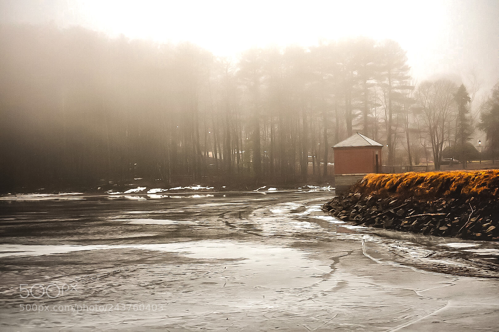 Nikon D7200 sample photo. Rainy monday photography