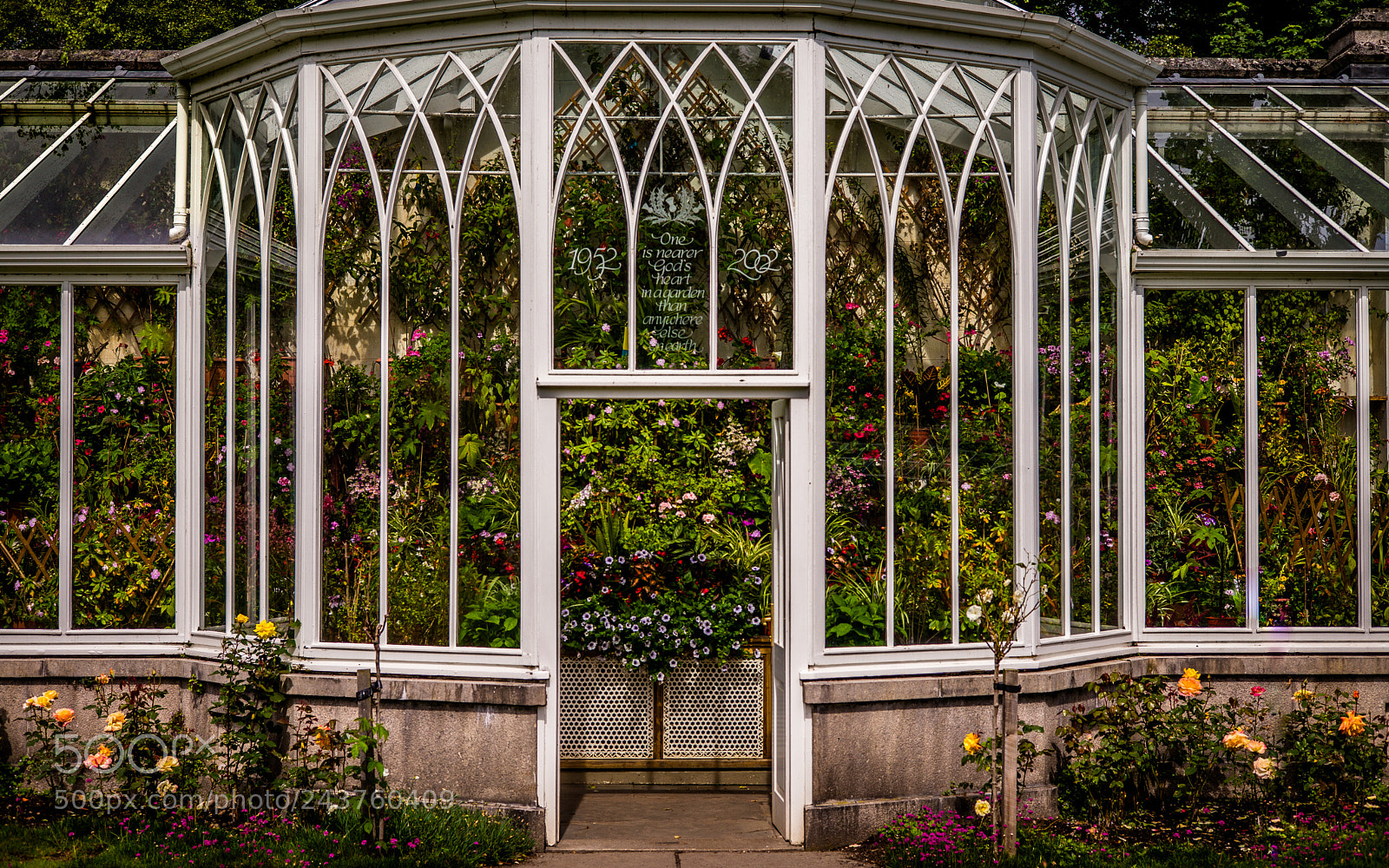 Leica M (Typ 240) sample photo. Scotland memories - flowers photography