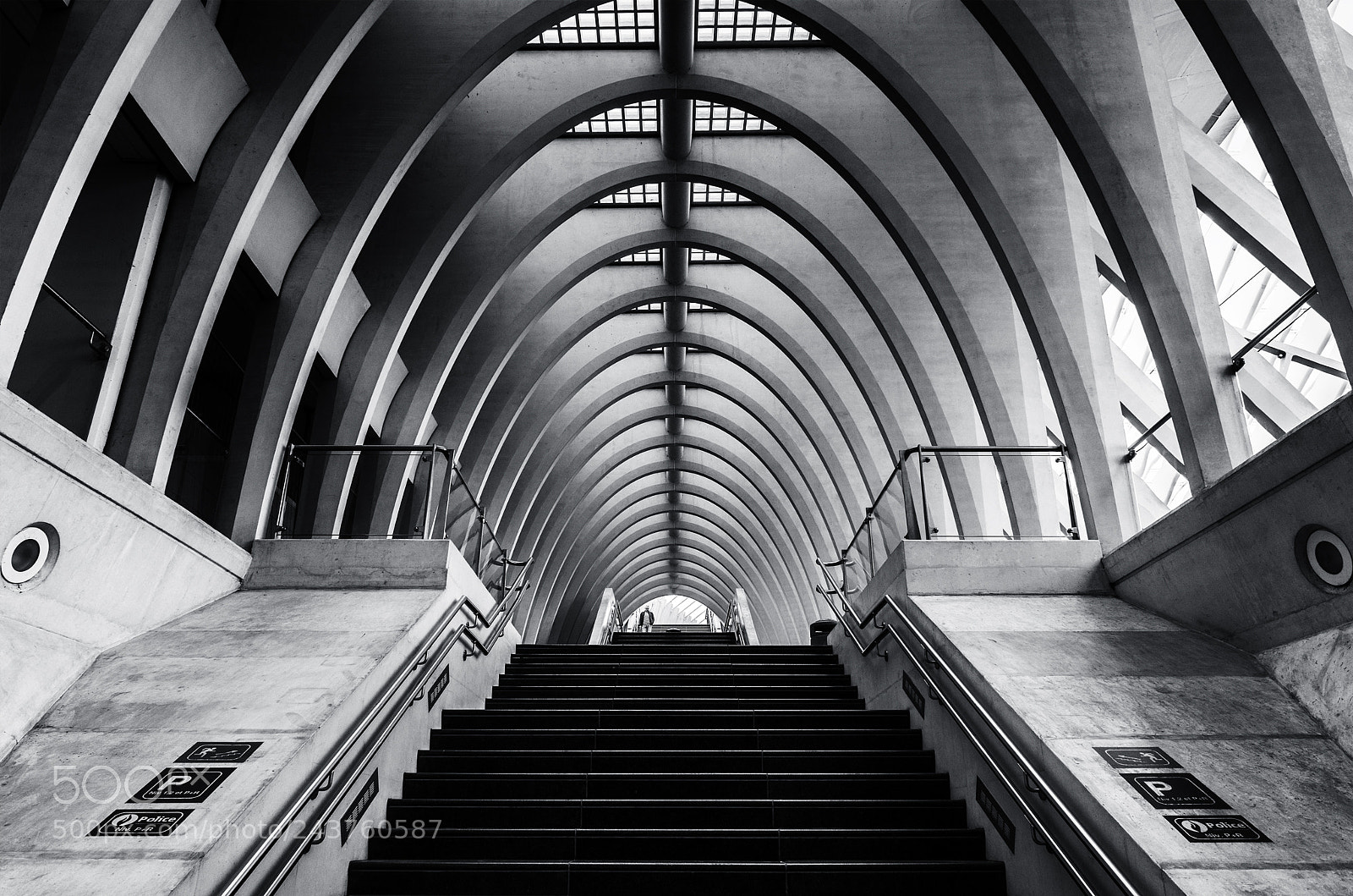 Nikon D800 sample photo. Station luik-guillemins photography