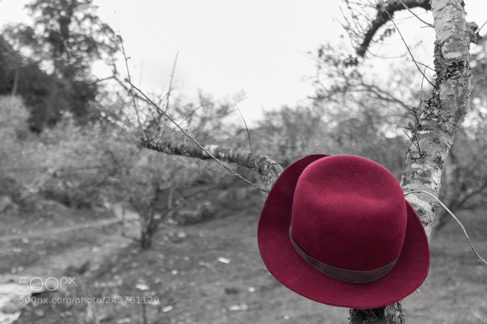 Pentax K-3 sample photo. From a lost passenger photography