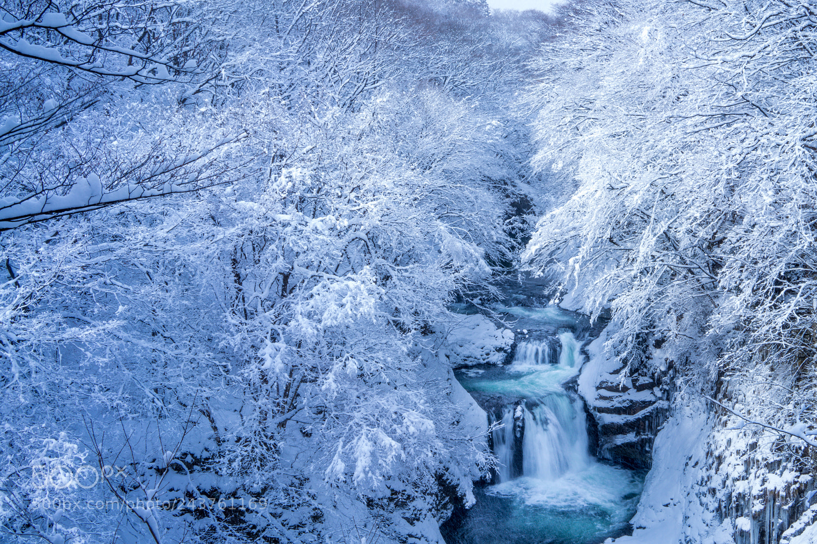Sony a7 II sample photo. Houmei shijuhachitaki photography