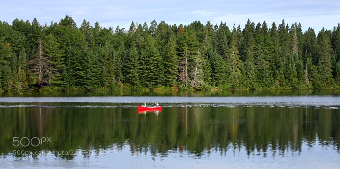 Canon EOS 40D sample photo. Canoeing at bog lake photography