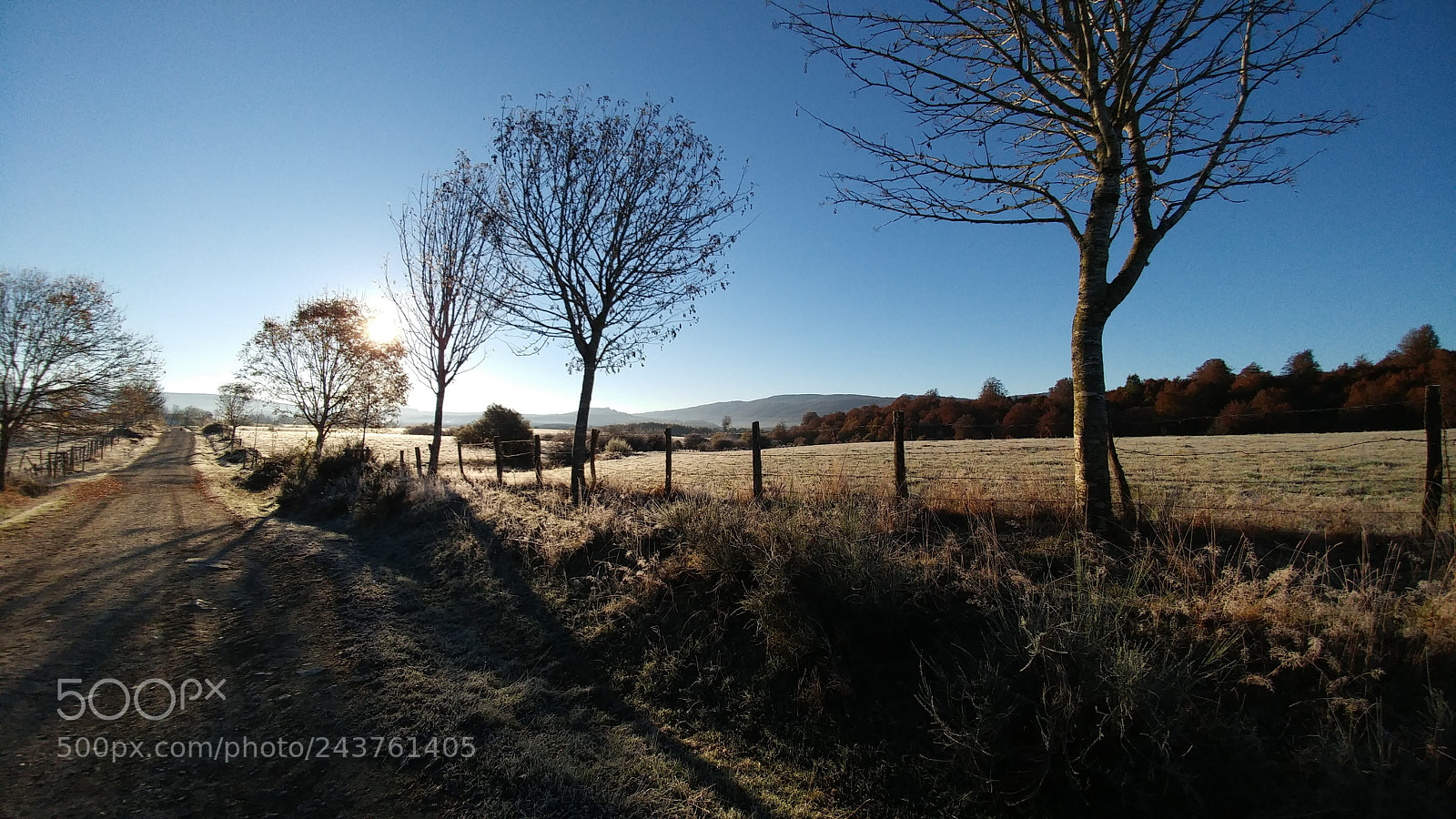 LG G5 sample photo. Camino de santiago de photography