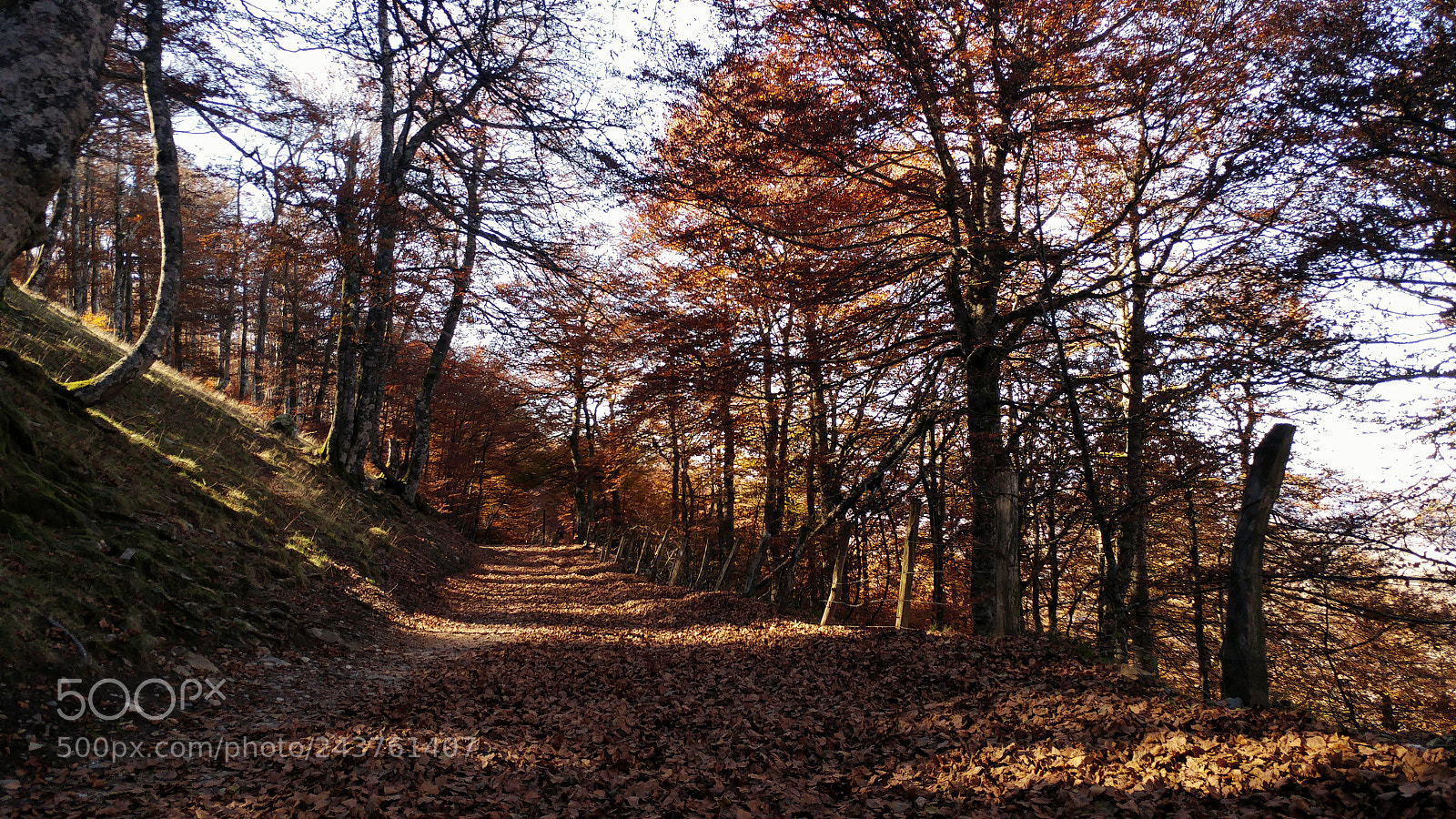 LG G5 sample photo. Camino de santiago de photography